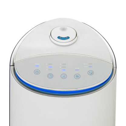 100-Hour Warm & Cool Mist Humidifier