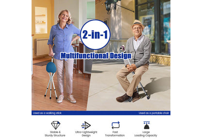 3-in-1 Walking Cane with Seat & Light