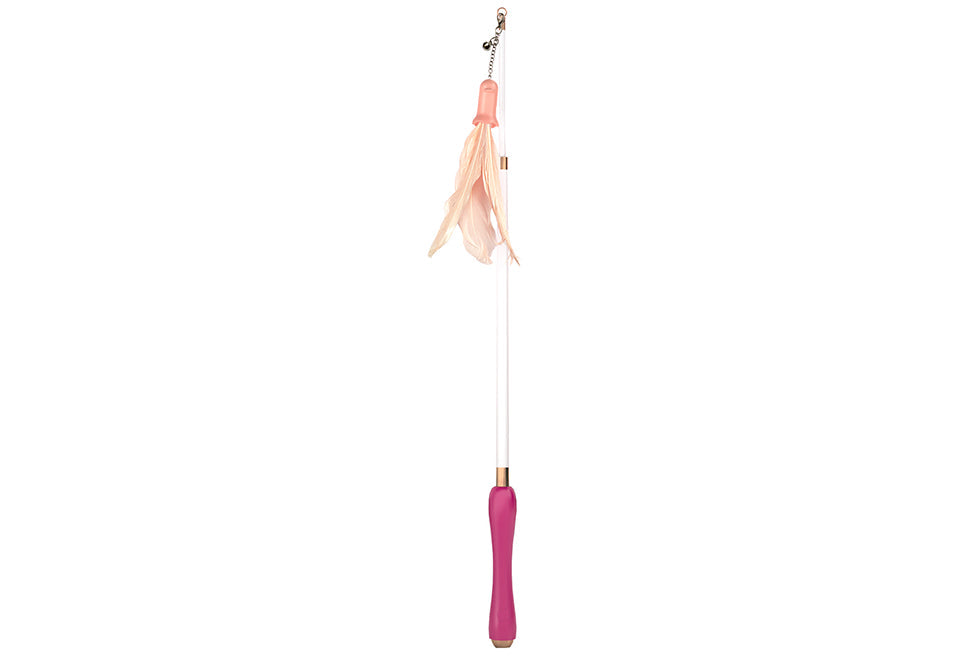 10-in-1 Extendable Cat Laser Teaser Wand