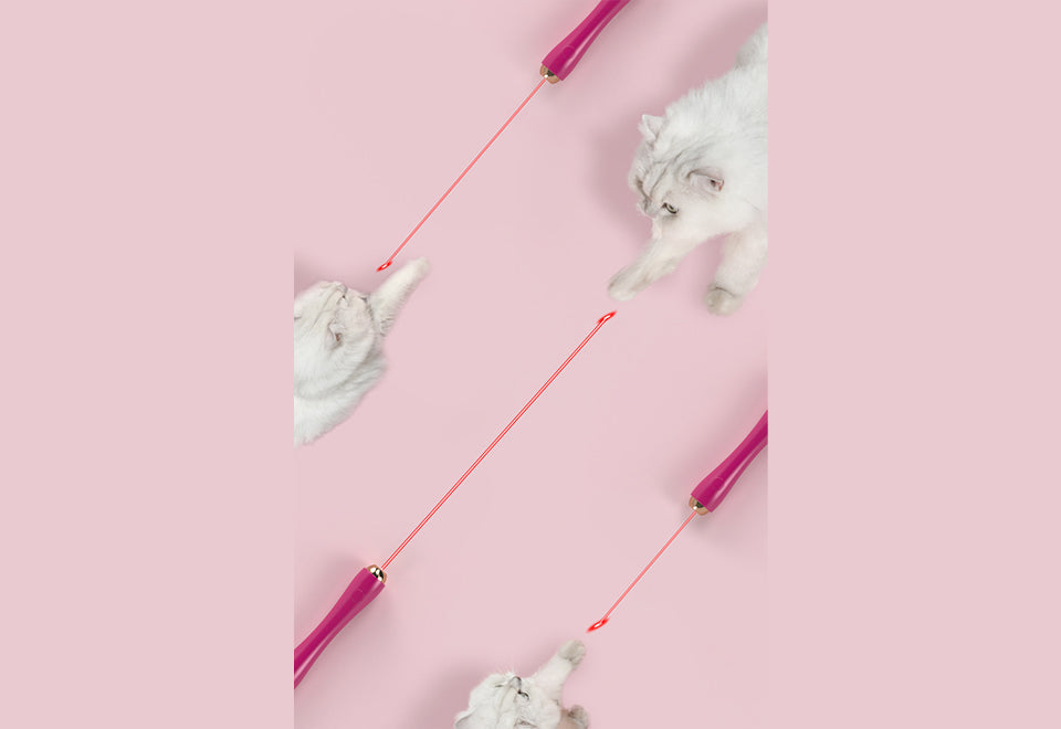 10-in-1 Extendable Cat Laser Teaser Wand