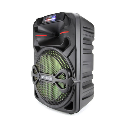 12-Inch Bluetooth Party Speaker & Lights