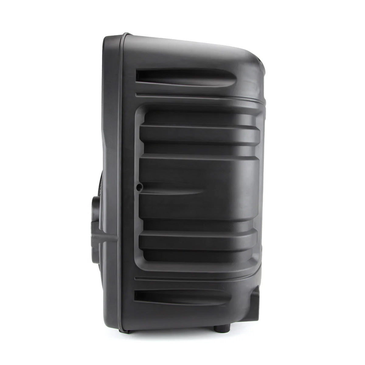 12-Inch Bluetooth Party Speaker & Lights