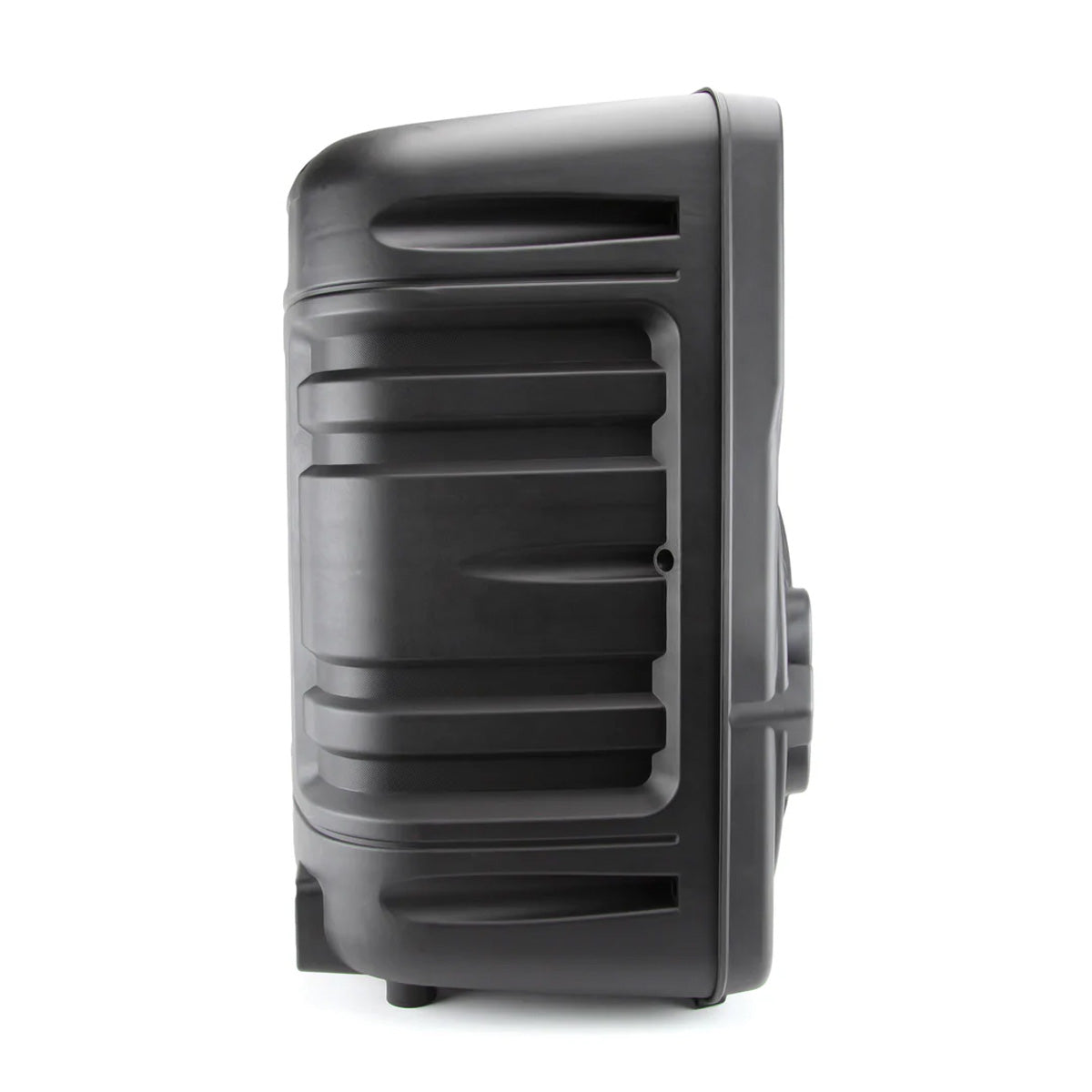 12-Inch Bluetooth Party Speaker & Lights