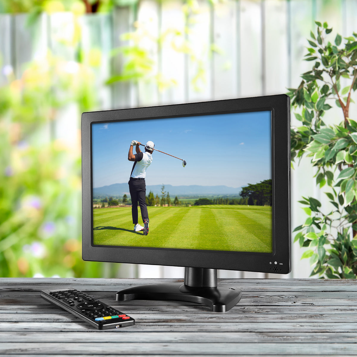 13.3" Portable Digital TV with HDMI & Battery
