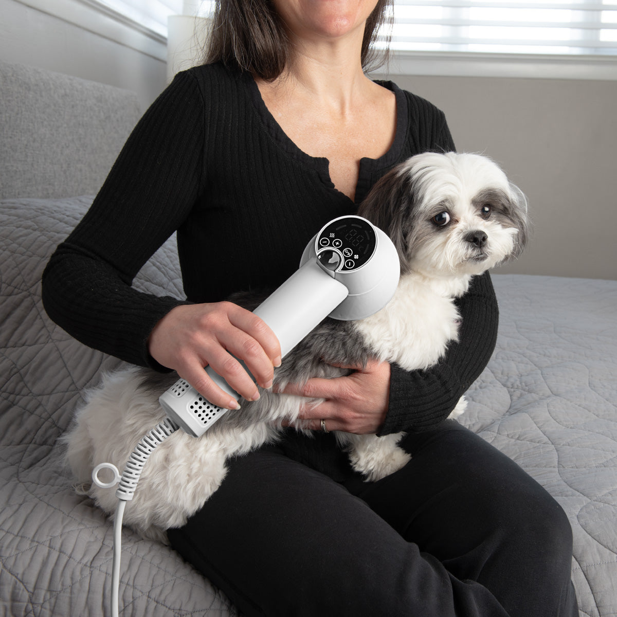 2-in-1 Pet Comb & Blow Dryer