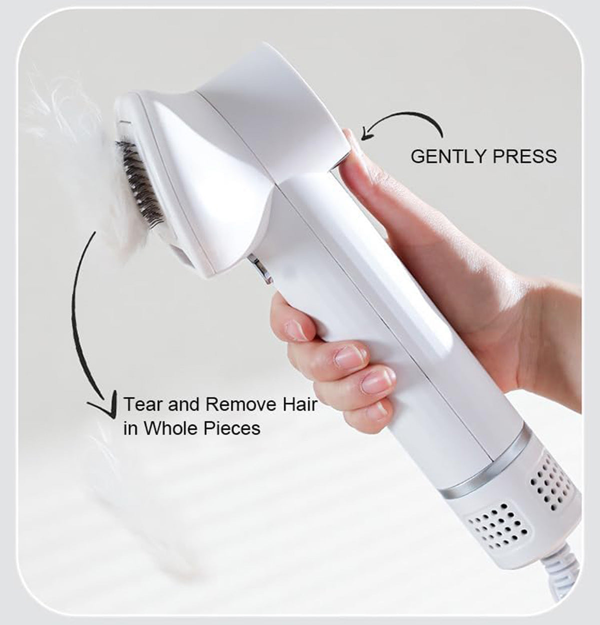 2-in-1 Pet Comb & Blow Dryer