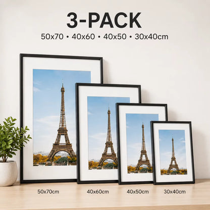 Aluminum Picture Frames Set (3-Pack)