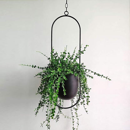 FloraFrame Iron Hanging Planter