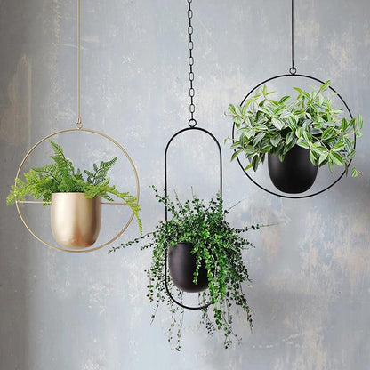 FloraFrame Iron Hanging Planter