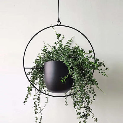 FloraFrame Iron Hanging Planter