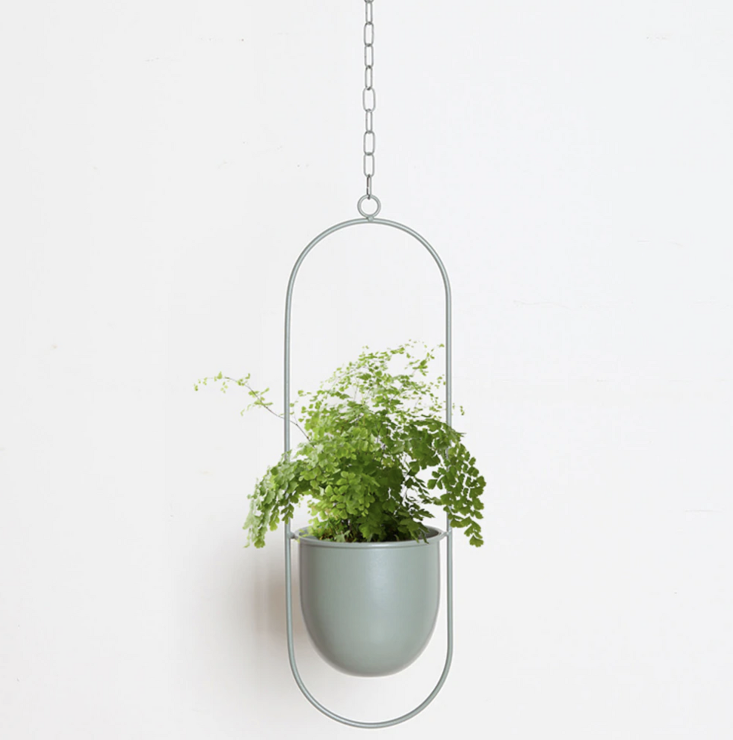 FloraFrame Iron Hanging Planter