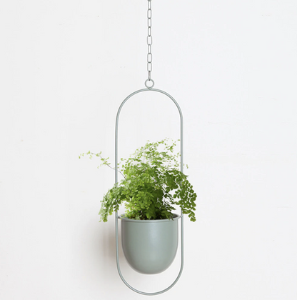 FloraFrame Iron Hanging Planter