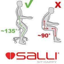 Salli Surgeon or Expert Twin Medical Chair