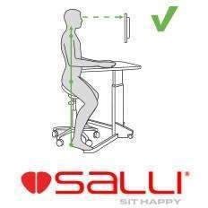 Salli Surgeon or Expert Twin Medical Chair