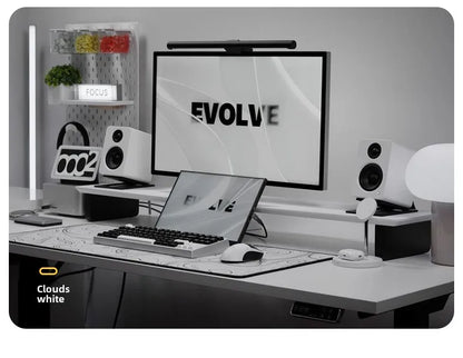 DeskMaster Modular Monitor Riser & Workspace Organizer