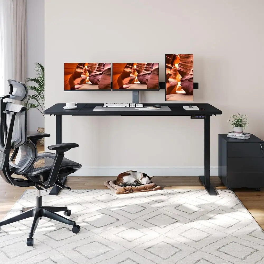 Dual Motor Standing Desk