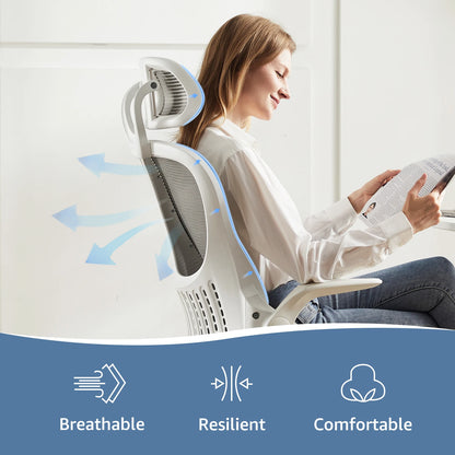 Vapor Ergonomic Mesh Office Chair