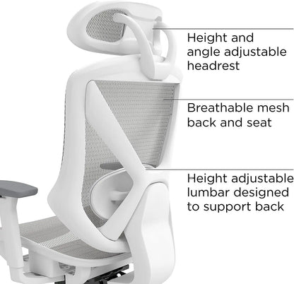 Gray Mesh Task Chair