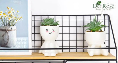 Fake Succulent Plants (2-Pack)