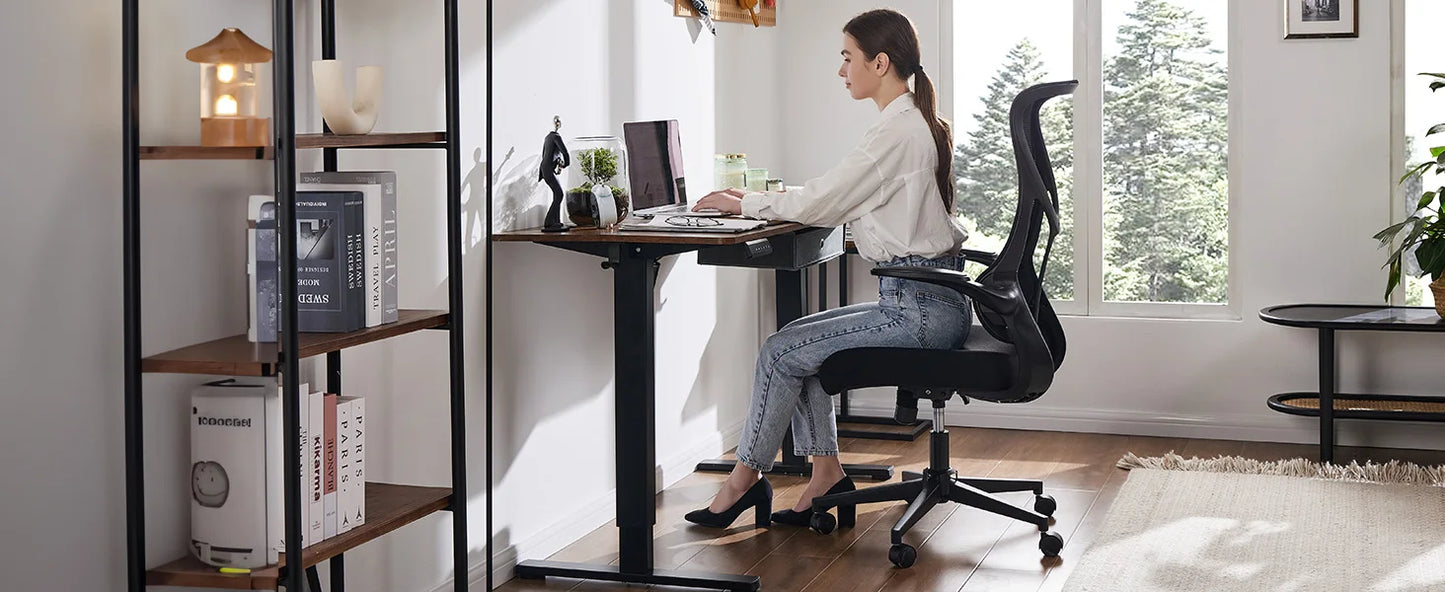 Lumbar-Pro Mesh Desk Chair