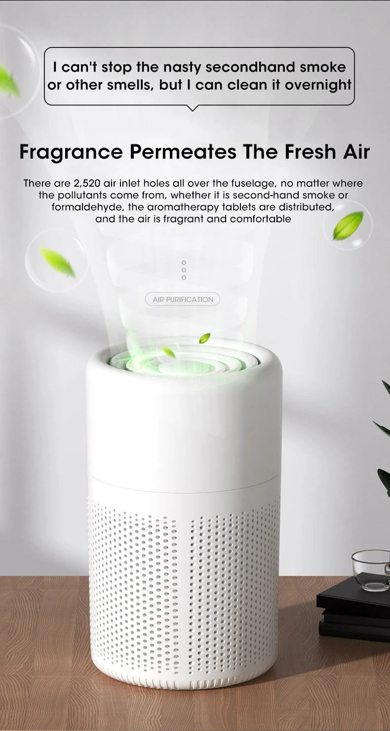 Portable Mini Air Purifier