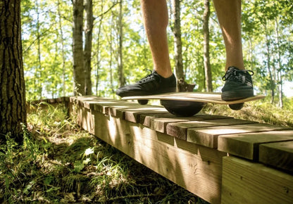 Pro Rotating Balance Board