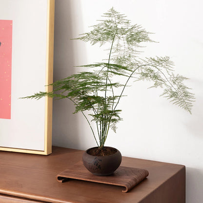 Rectangular Wooden Display Tray