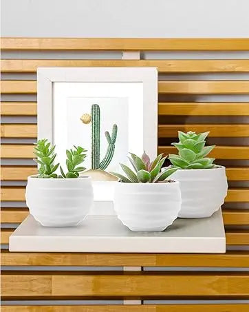 Fake Succulent Plants (2-Pack)