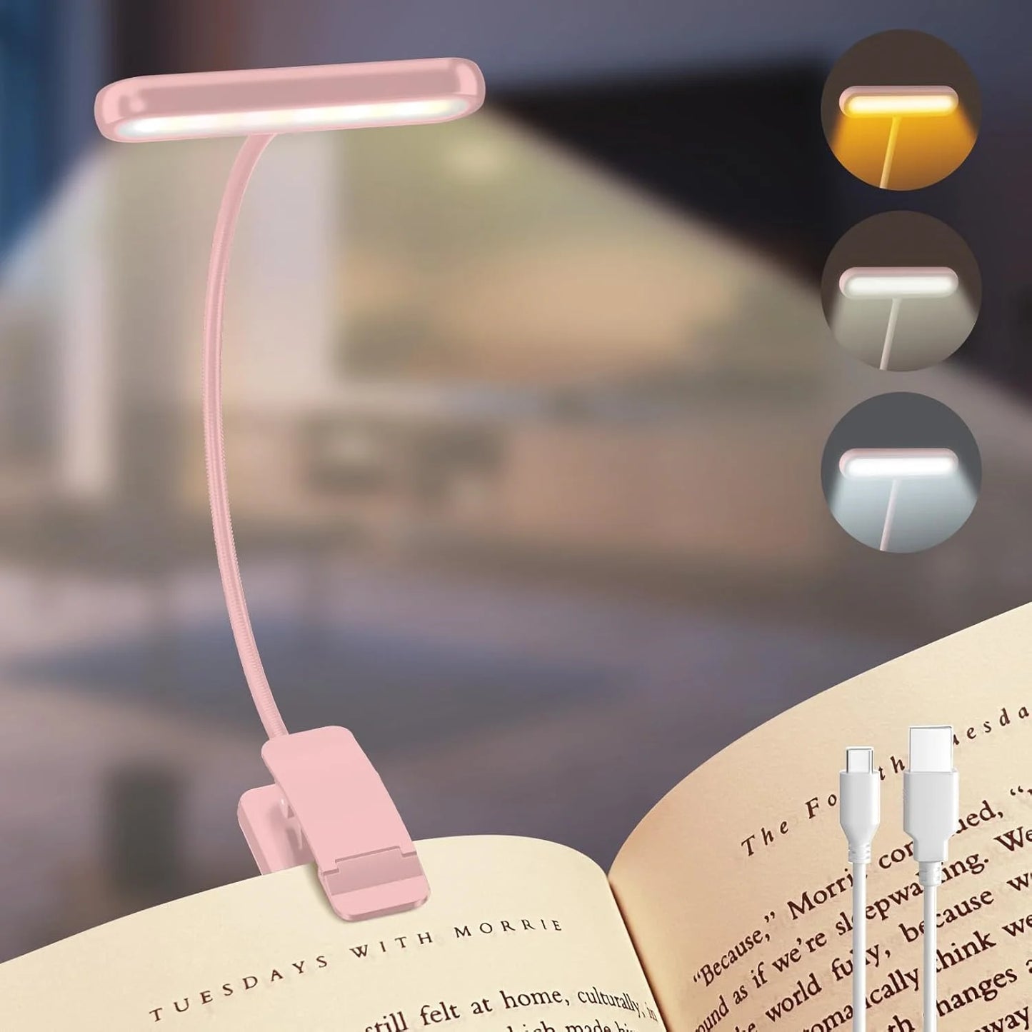 LED Reading Clip Light
