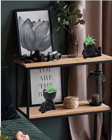 Fake Succulent Plants (2-Pack)