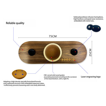 Pro Rotating Balance Board