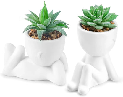 Fake Succulent Plants (2-Pack)
