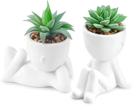 Fake Succulent Plants (2-Pack)