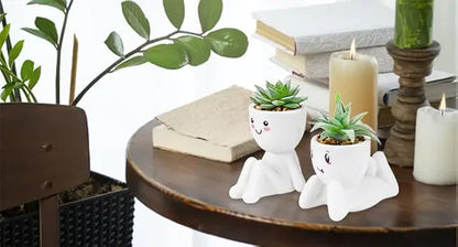 Fake Succulent Plants (2-Pack)