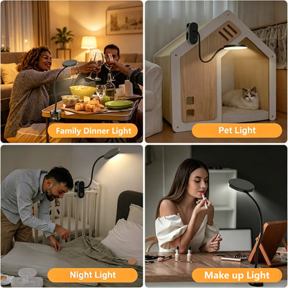 3.5in LED Clip Desk Lamp