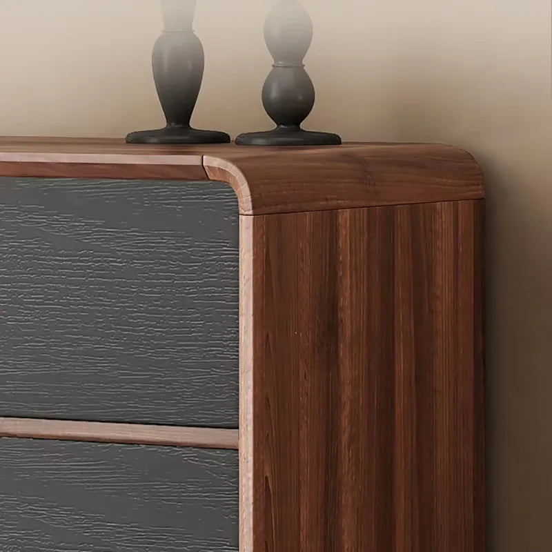 Modern Wood Storage Display Cabinet