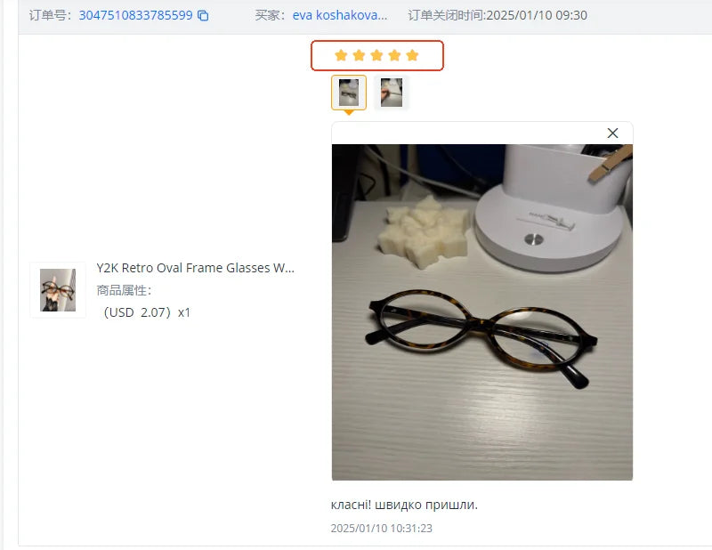 Y2K Oval Frame Sunglasses