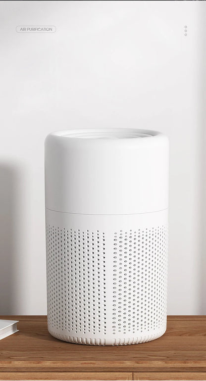 Portable Mini Air Purifier