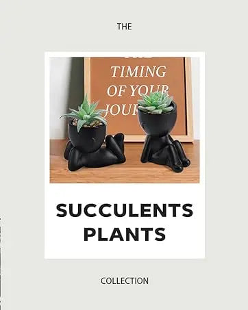 Fake Succulent Plants (2-Pack)