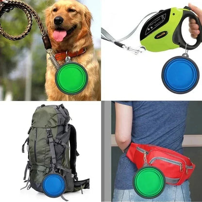Foldable Travel Bowl for Dogs & Cats, 350ml