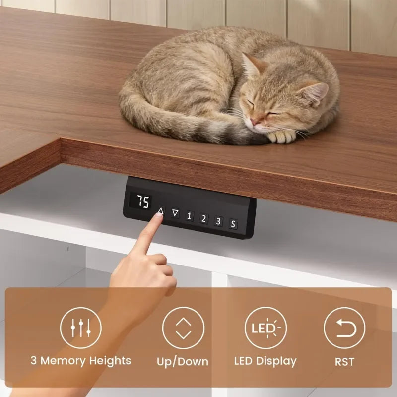 All Inclusive L-Shaped Electric Standing Desk