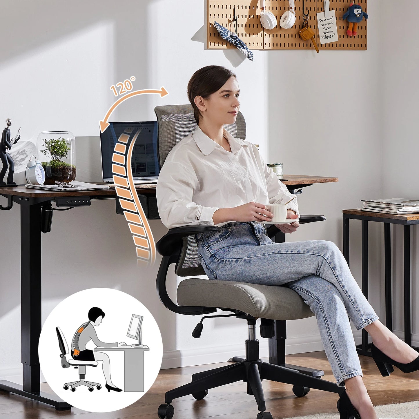 Lumbar-Pro Mesh Desk Chair