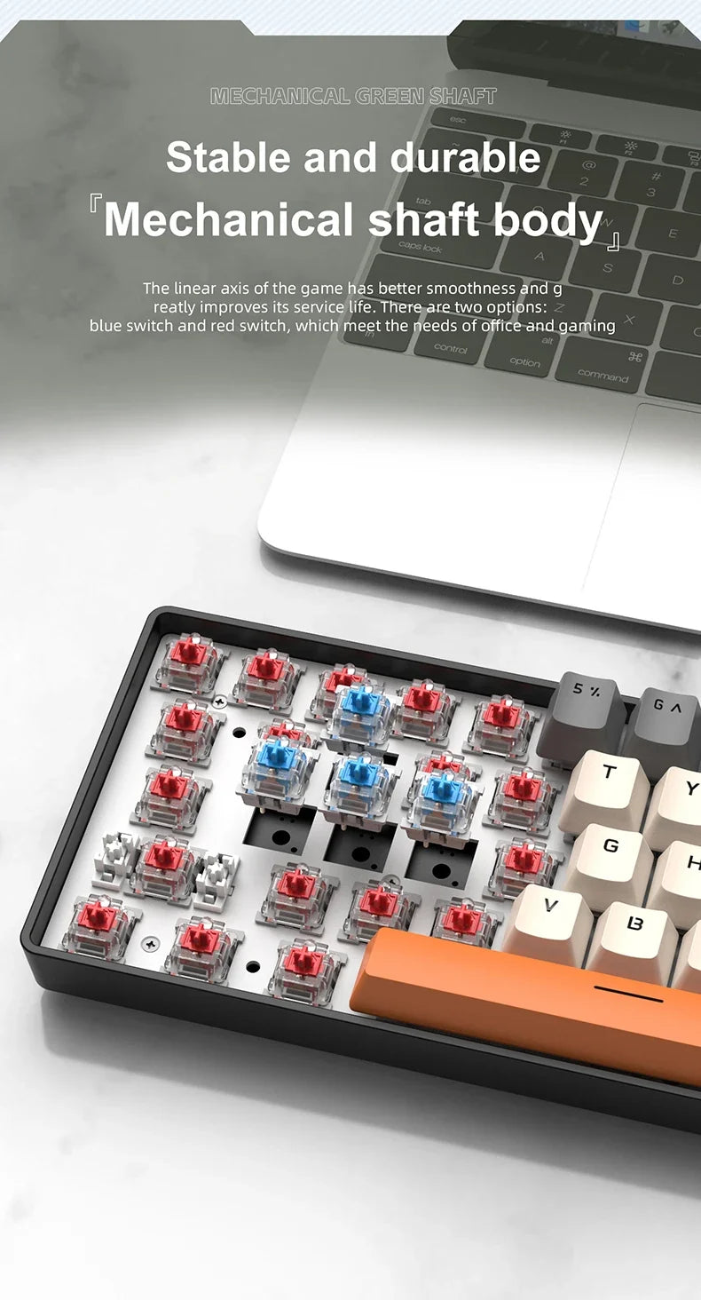 60% Mechanical Mini Keyboard with RGB