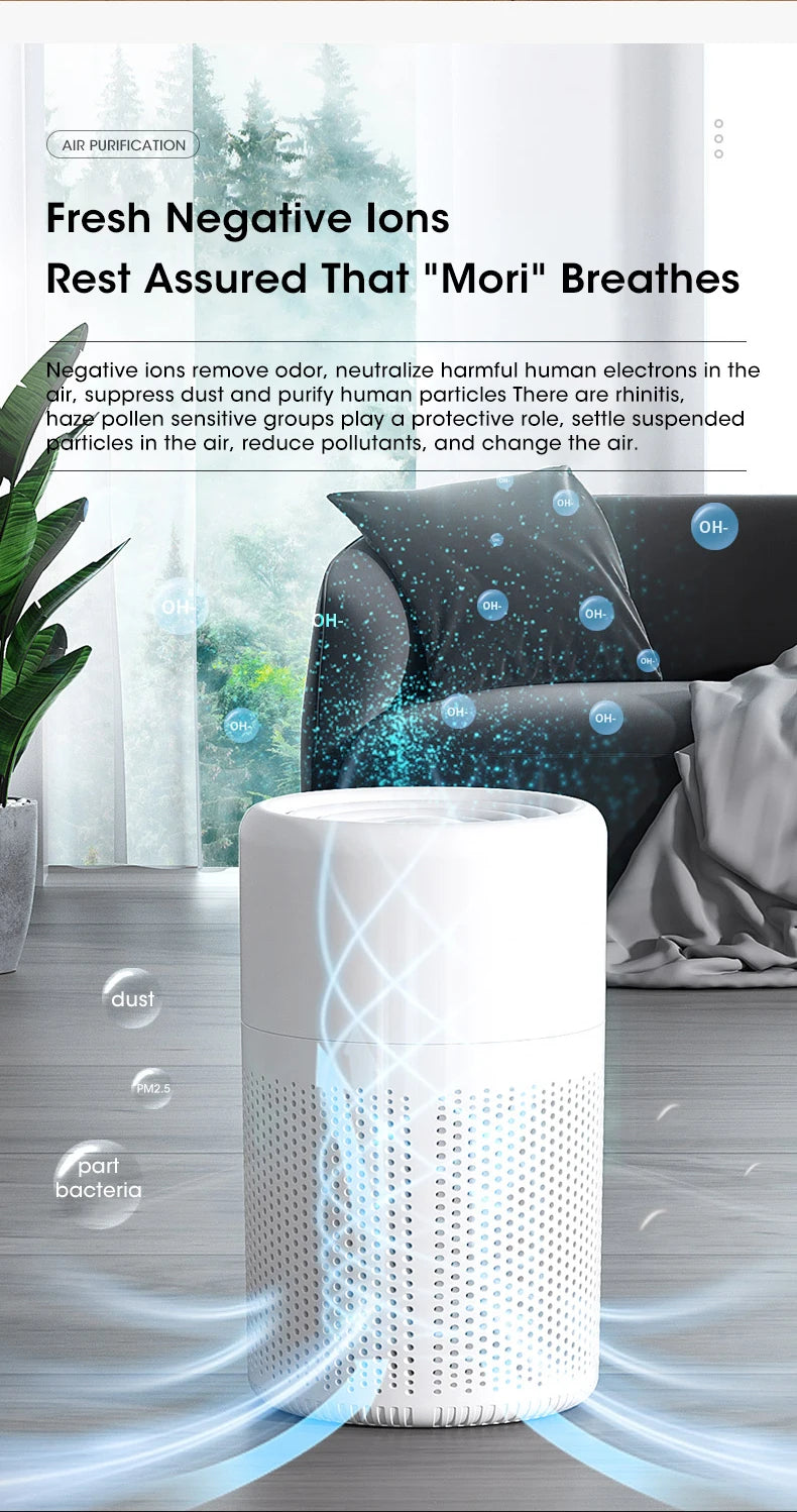 Portable Mini Air Purifier