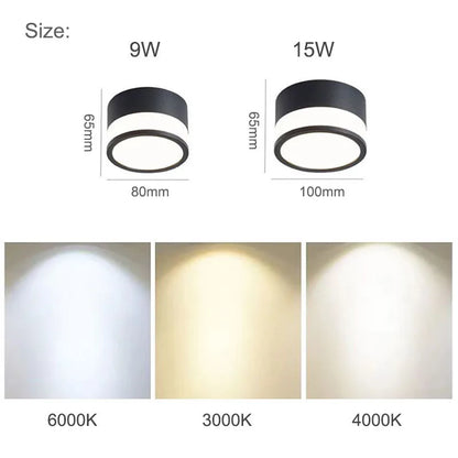 Nordic Slim LED Downlight