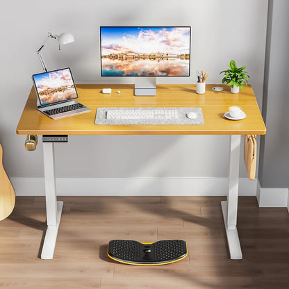 Ascend Electric Standing Desk