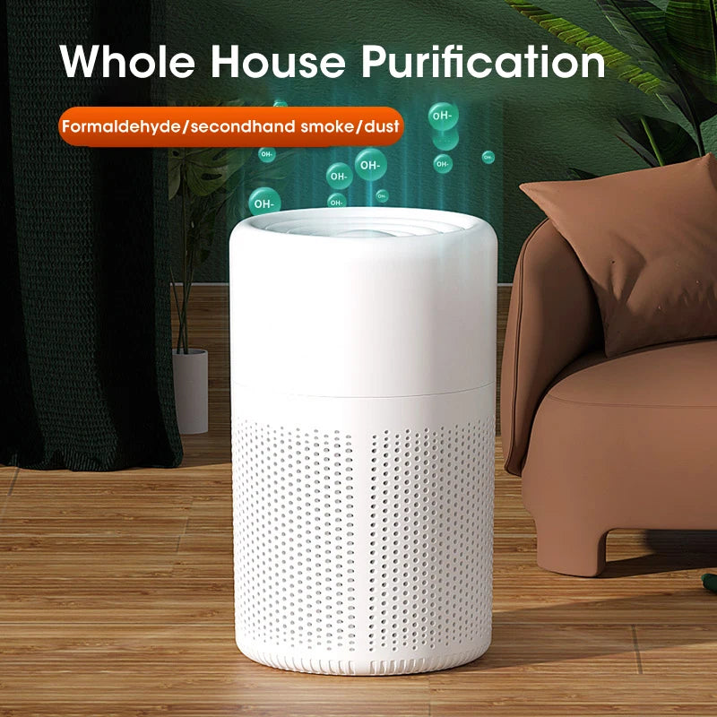 Portable Mini Air Purifier