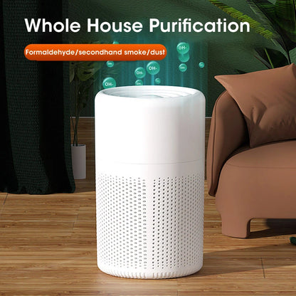 Portable Mini Air Purifier