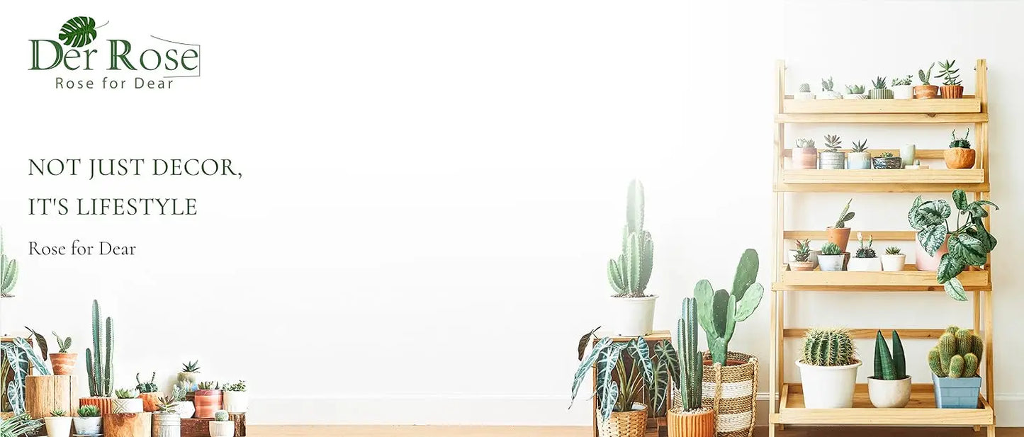 Fake Succulent Plants (2-Pack)