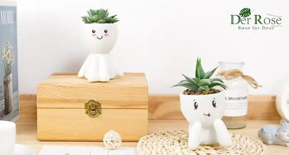 Fake Succulent Plants (2-Pack)